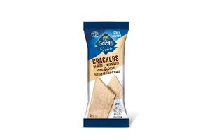 Cracker Integrale con Quinoa
